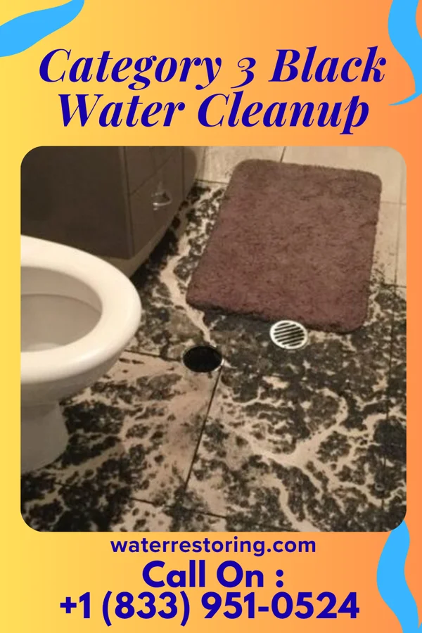 Category 3 Black Water Cleanup in Richlawn, KY