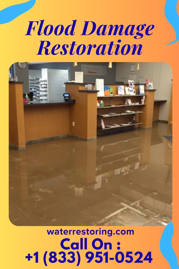 Flood Damage Restoration in Richlawn, KY