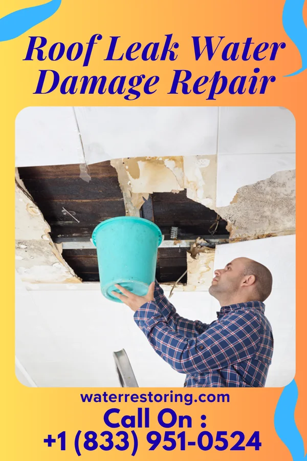 Roof Leak Water Damage Repair in Richlawn, KY
