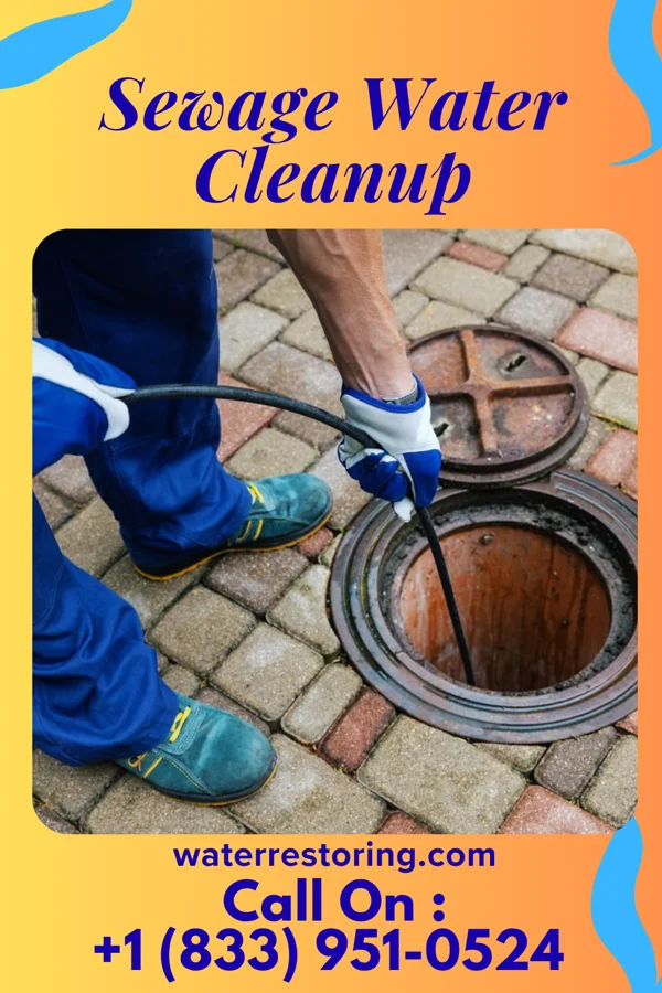 Sewage Water Cleanup in Richlawn, KY